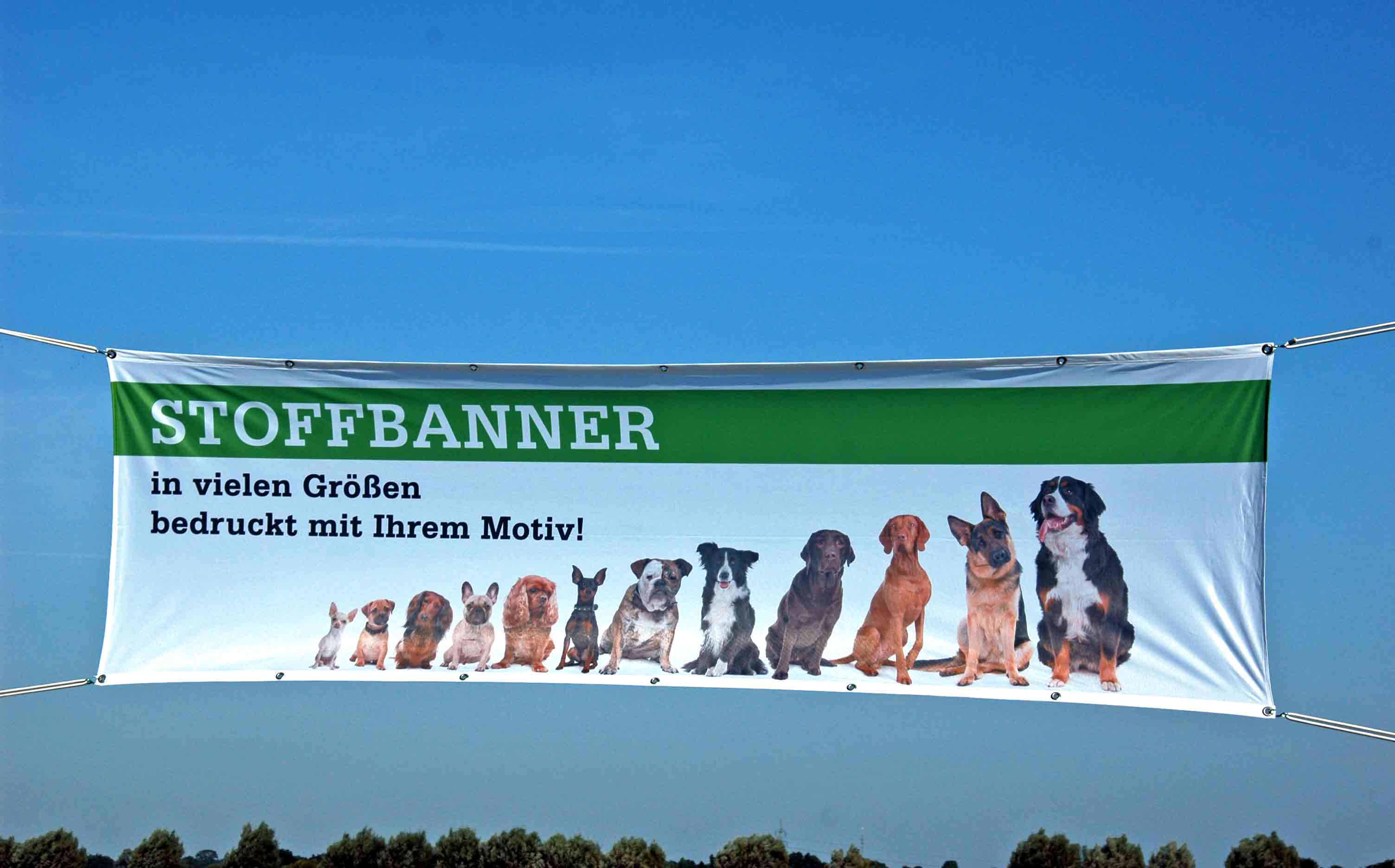 Spannbanner