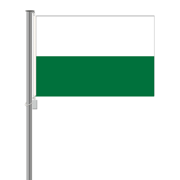 Sachsen Flagge - ohne Wappen - Querformat