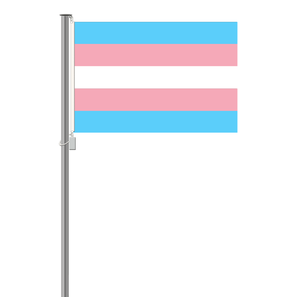 Transgenderflagge - Querformat