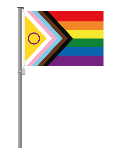 Inter*Progress-Pride Flagge - Querformat